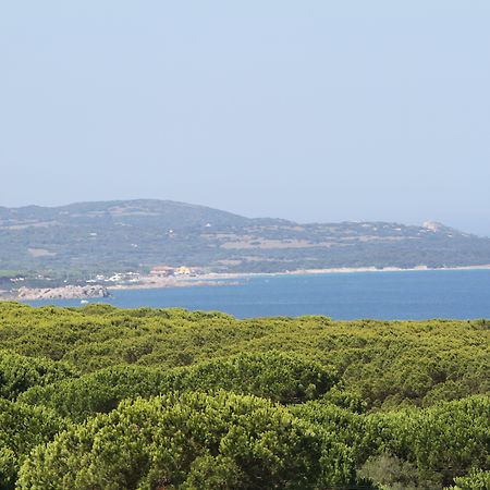 Club Esse Gallura Aglientu Exteriör bild