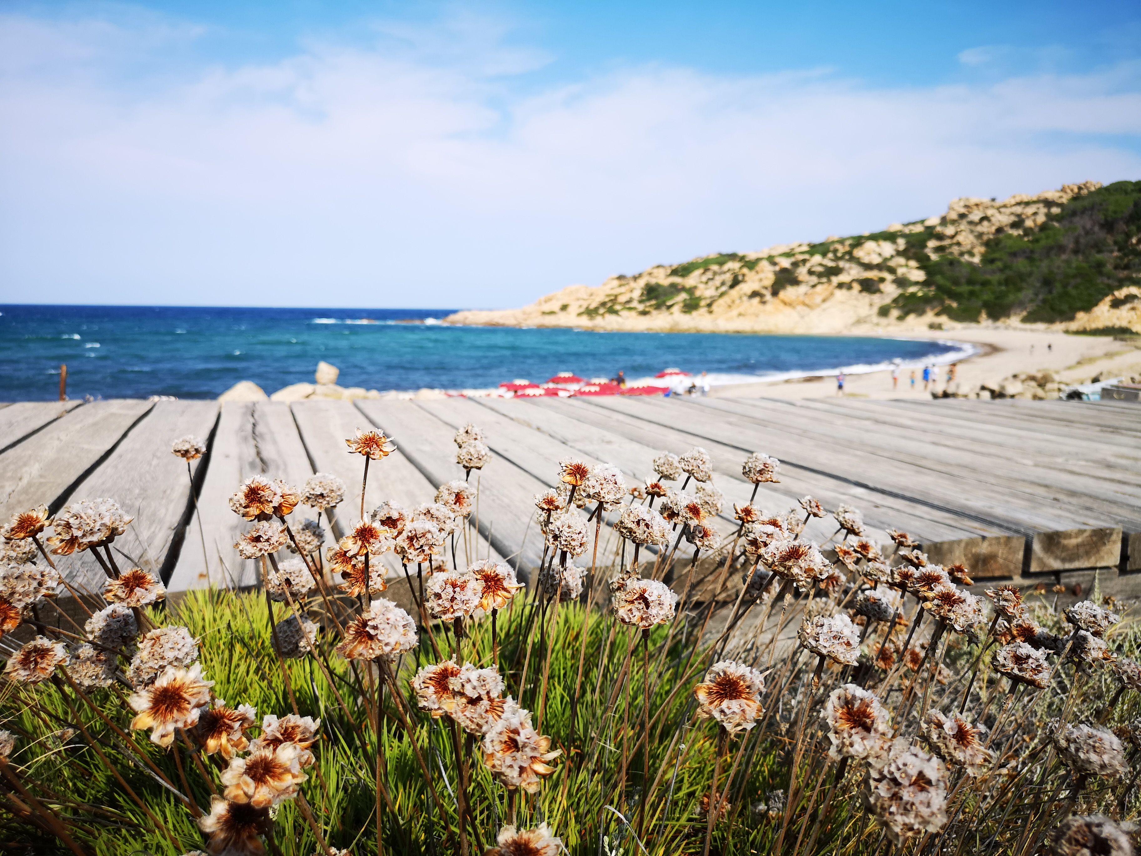 Club Esse Gallura Aglientu Exteriör bild